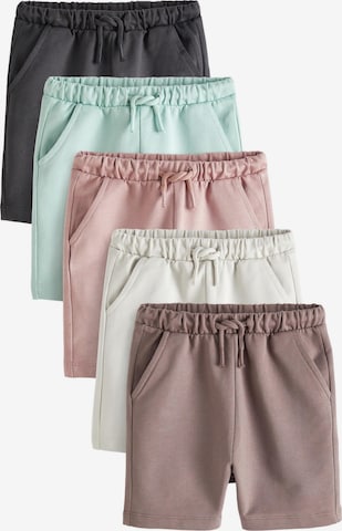 Next Hose in Mischfarben: Vorderseite