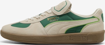 Baskets basses 'Palermo' PUMA en beige : devant