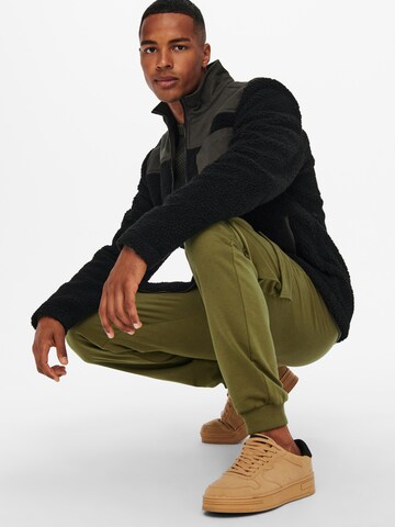 Only & Sons Tapered Cargo Pants 'Kian' in Green