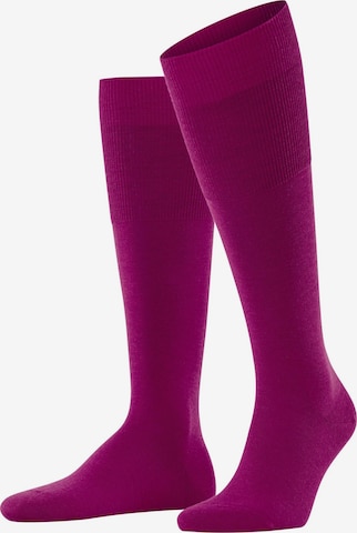 FALKE Knee High Socks 'Airport' in Pink: front