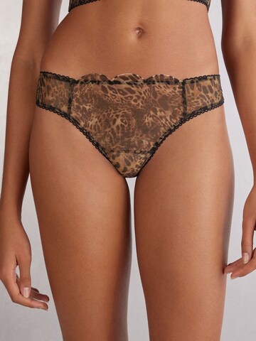 INTIMISSIMI Panty in Brown: front