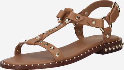 Sandale cu baretă 'PATSY' ASH pe maro coniac / auriu, Vizualizare produs