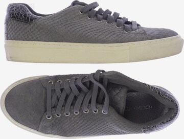 COX Sneakers & Trainers in 39 in Grey: front