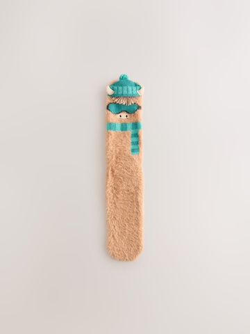 Chaussettes Next en mélange de couleurs