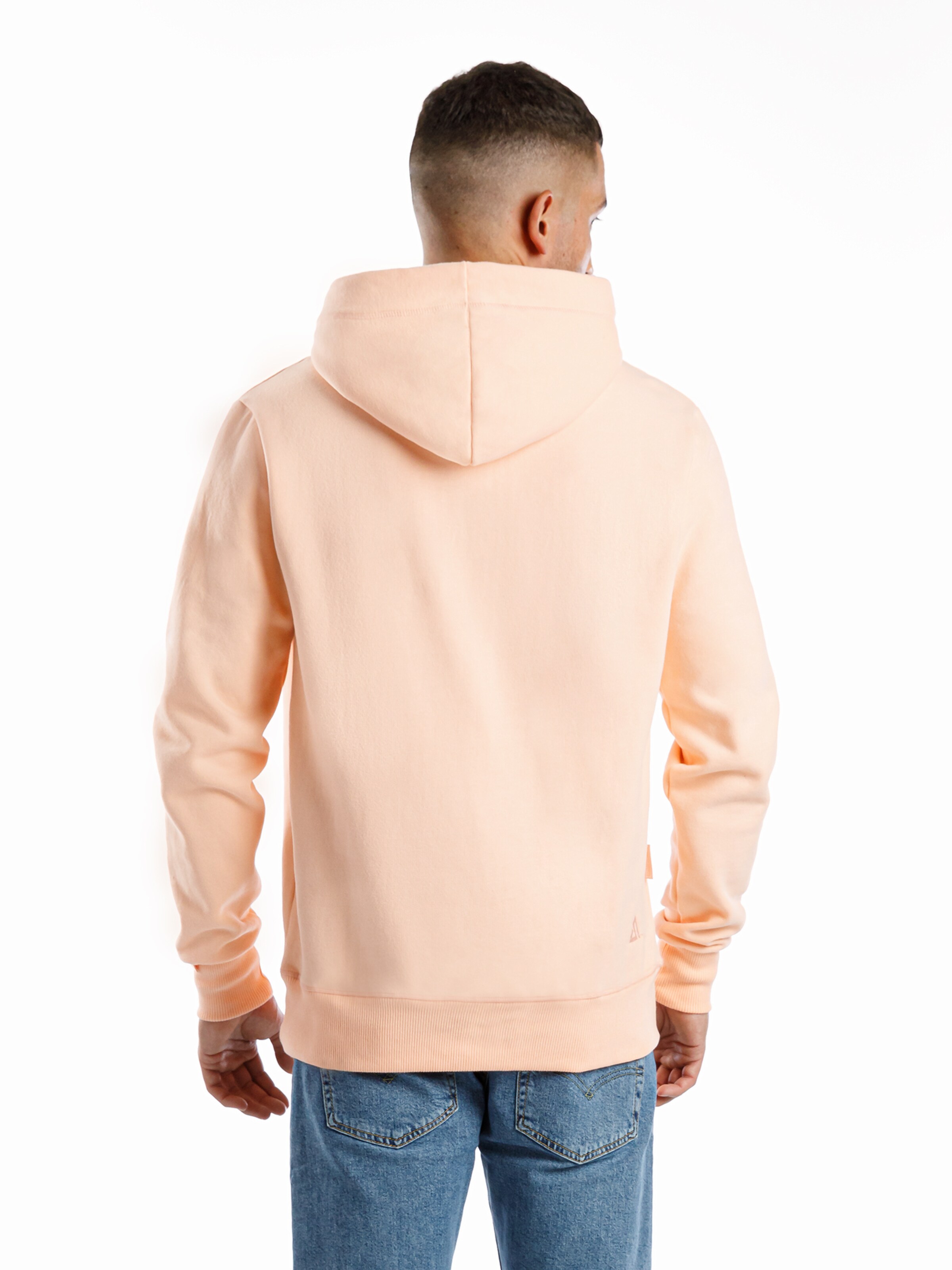 SPITZBUB Sweatshirt 'Loui' in Pink
