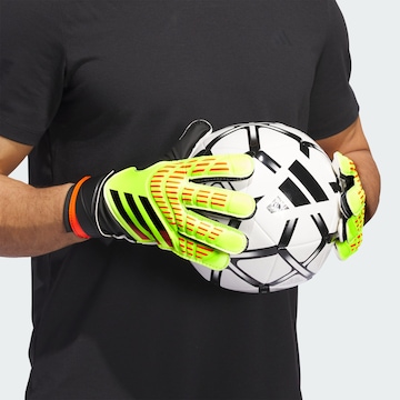 ADIDAS PERFORMANCE Athletic Gloves 'Predator' in Mixed colors: front