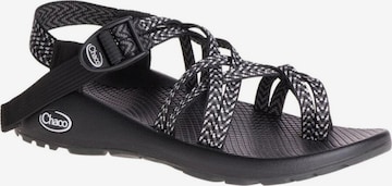 Chaco Sandaalit 'WOMENS ZX/2 DUAL' värissä musta: etupuoli
