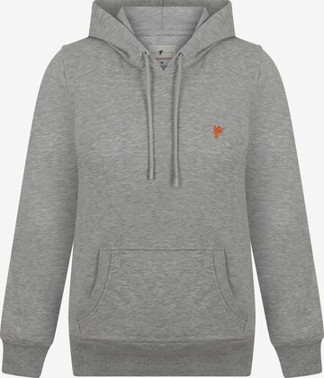 DENIM CULTURE - Sudadera 'Zenaida' en gris: frente