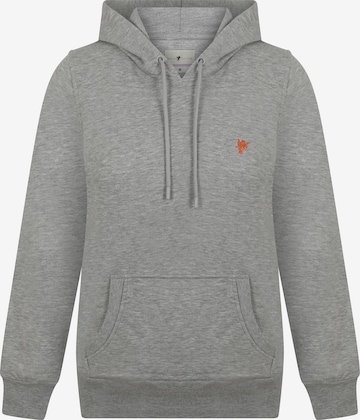 DENIM CULTURE Sweatshirt 'Zenaida' in Grey: front