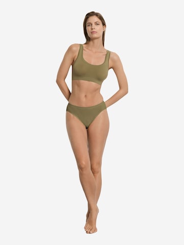 Hanro Panty ' Touch Feeling ' in Green