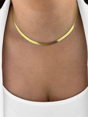DANIEL CLIFFORD Kette 'Jasmine'‌‌‌‌ in Gold