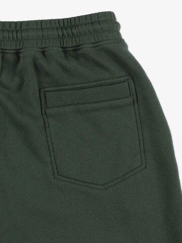 Prosto Regular Workout Pants 'Football' in Green