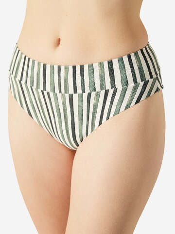 Penti Bikini nadrágok - vegyes színek: elől