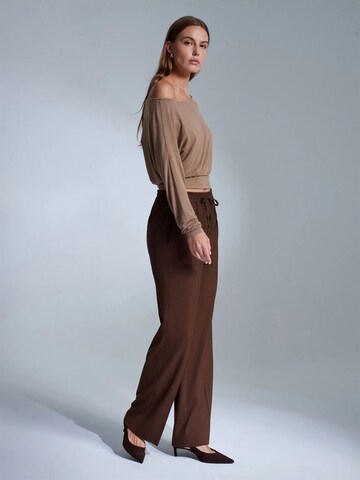regular Pantaloni di Dilvin in marrone