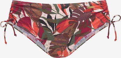 LASCANA Bikini Bottoms in Mixed colors / Red, Item view