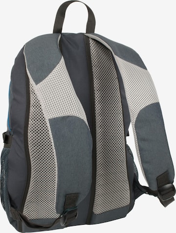 Polar Husky Backpack 'Wasteland' in Grey