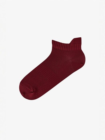 Penti Sukapöiad 'PENTI Fit Back 2er-Pack Sneaker-Socken', värv segavärvid