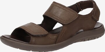 SIOUX Sandals 'Lutalo-701' in Brown: front