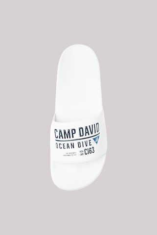 CAMP DAVID Mules in White