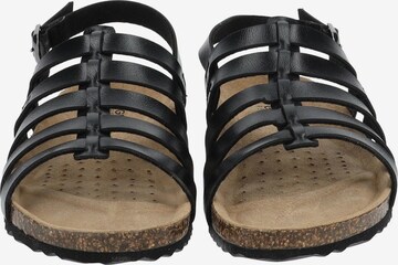 GEOX Sandals in Black