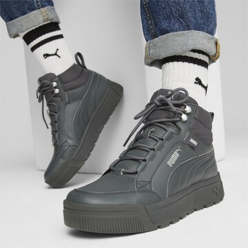 PUMA Sneakers laag 'Tarrenz SB III' in Grijs