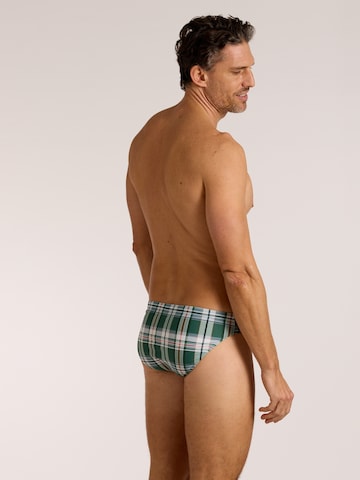 wavebreaker Swim Trunks in Green