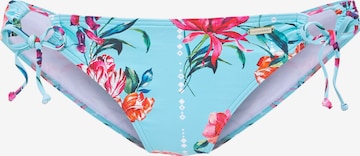 SUNSEEKER Bikini bottom in Blue: front