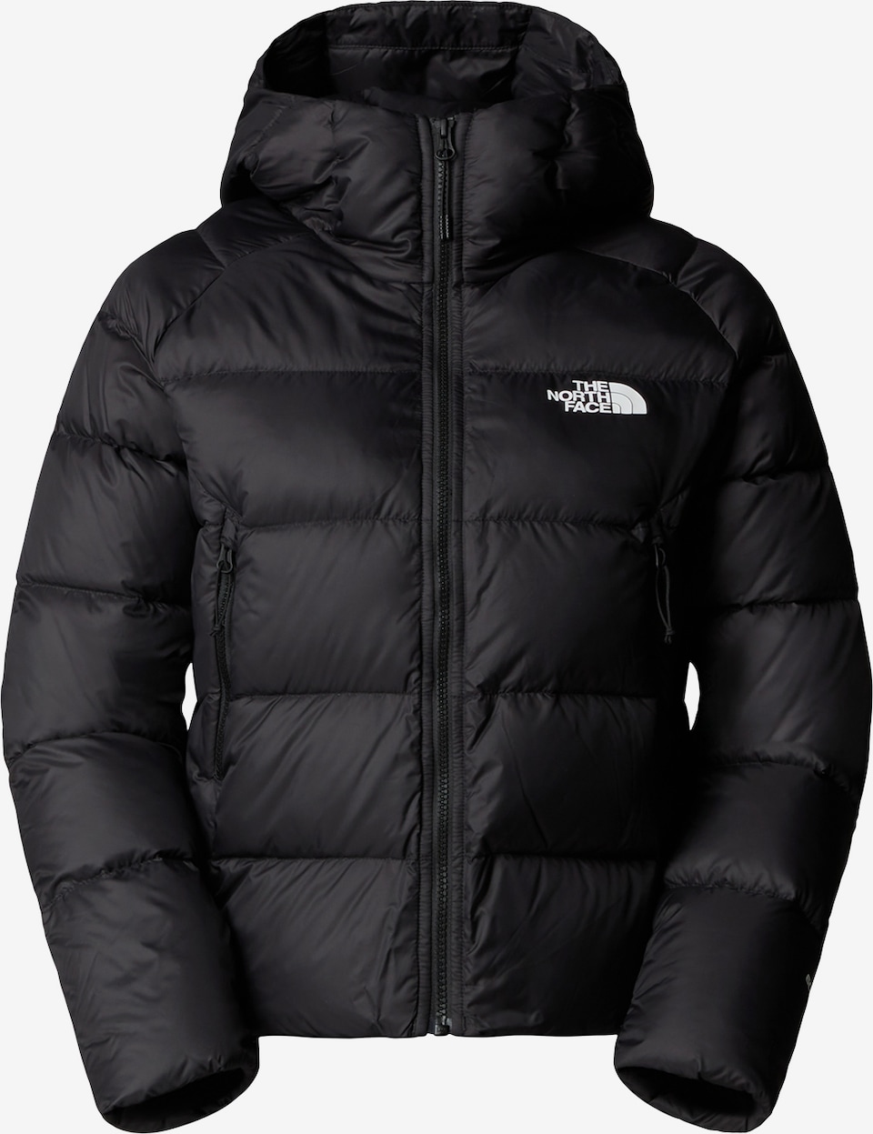 Geacă outdoor 'Hyalite' de la THE NORTH FACE pe negru: față