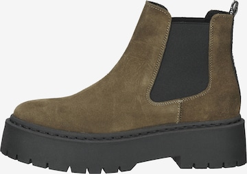 STEVE MADDEN Chelsea Boots in Grün