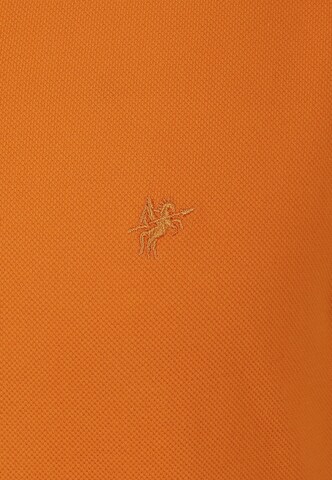 DENIM CULTURE Bluser & t-shirts 'Ken' i orange