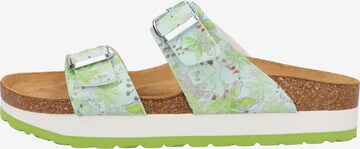 COSMOS COMFORT Mules in Green: front