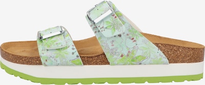 COSMOS COMFORT Mule en vert / blanc, Vue avec produit