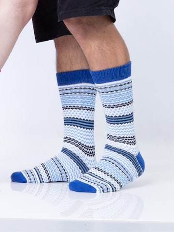 HomeOfSocks Socks 'HOS905' in Blue