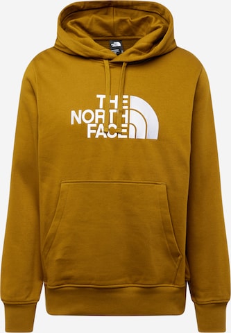 Felpa 'DREW PEAK' di THE NORTH FACE in marrone: frontale