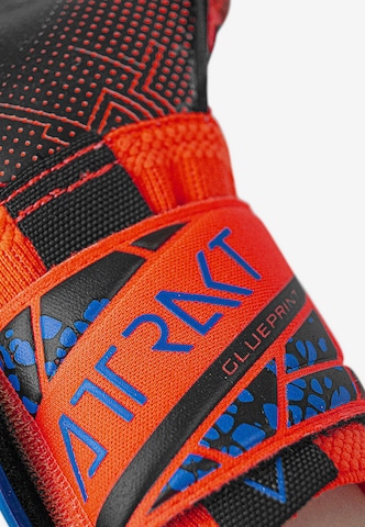 REUSCH Athletic Gloves 'Attrakt Gold X Evolution GluePrint' in Orange