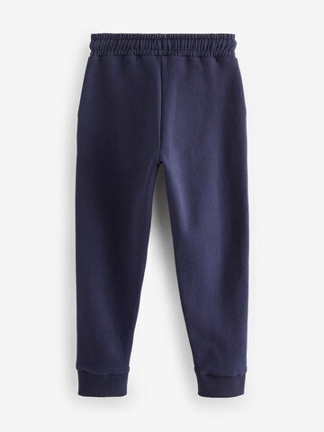 Next Regular Broek in Blauw