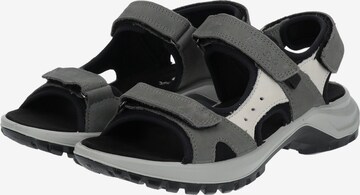 IMAC Sandals in Grey