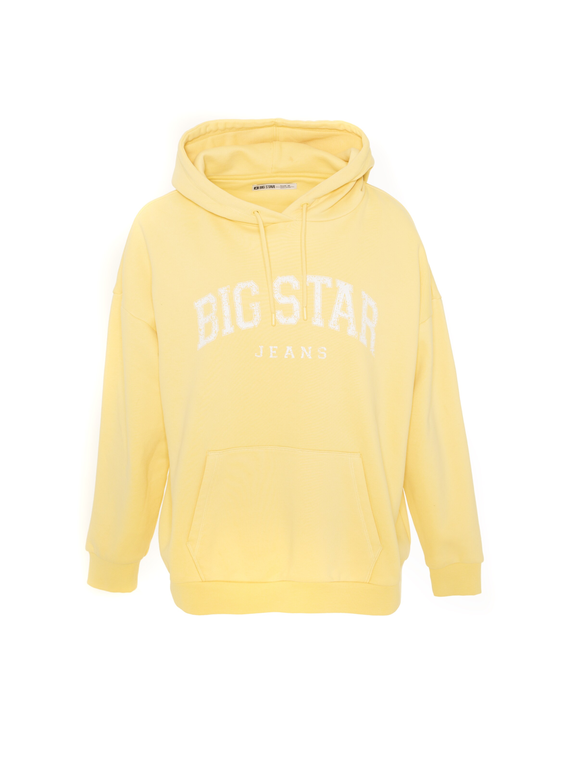 BIG STAR Sweatshirt 'Rubialsana' in Geel: voorkant