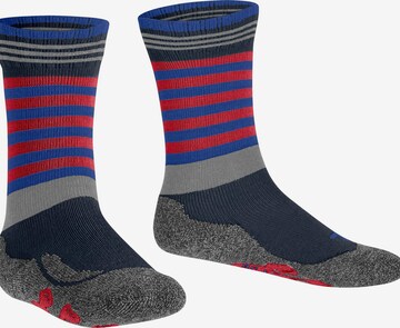 FALKE Socks 'Active Frog' in Blue: front