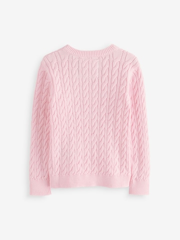 Superdry & Co Pullover in Pink