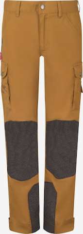 TROLLKIDS Regular Workout Pants in Brown: front