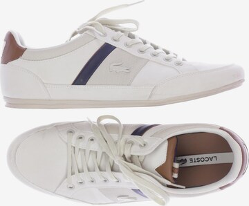 LACOSTE Sneakers & Trainers in 40 in White: front