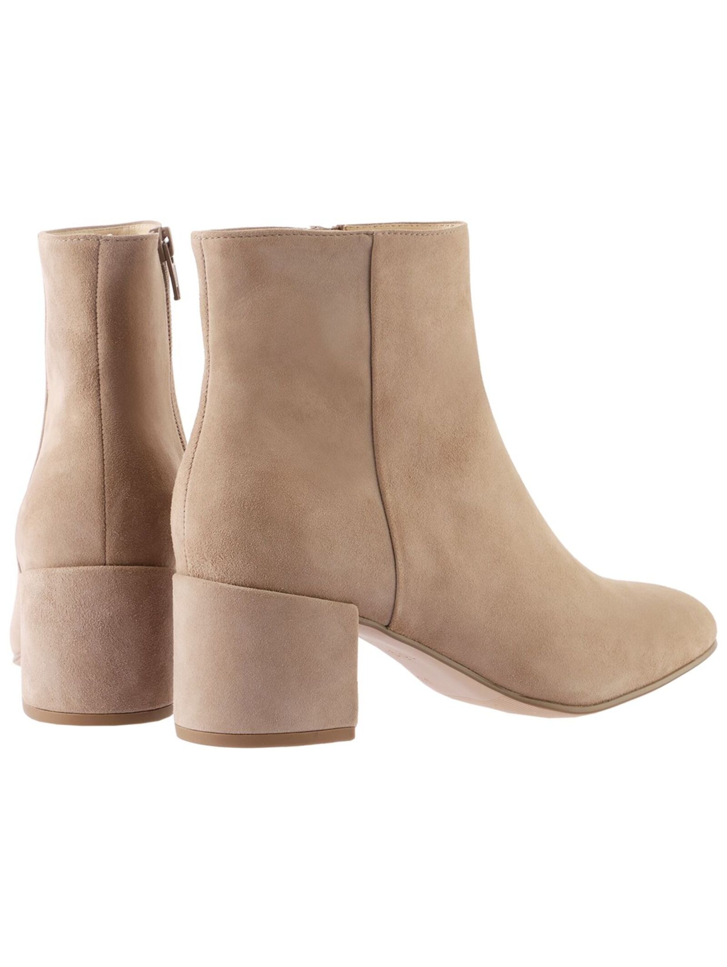 Högl Ankle Boots in Beige: back
