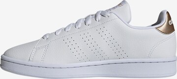 ADIDAS PERFORMANCE Athletic Shoes 'Advantage' in White