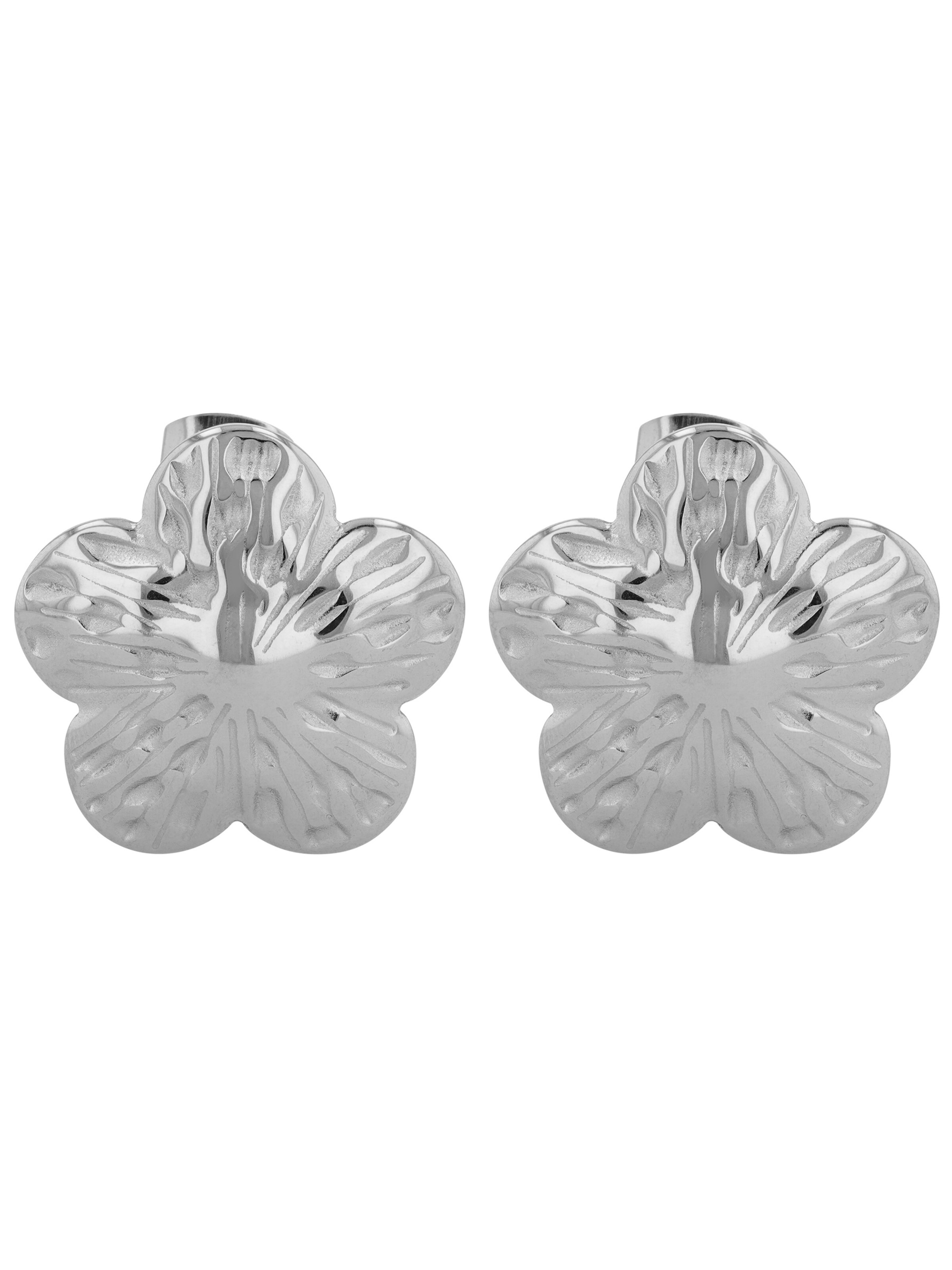 Akzent Earrings 'langlebig' in Silver: front