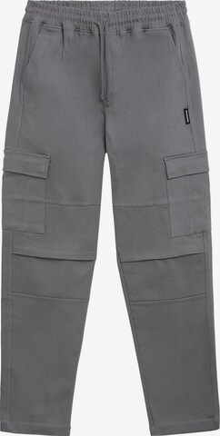 Regular Pantalon cargo Prohibited en gris : devant