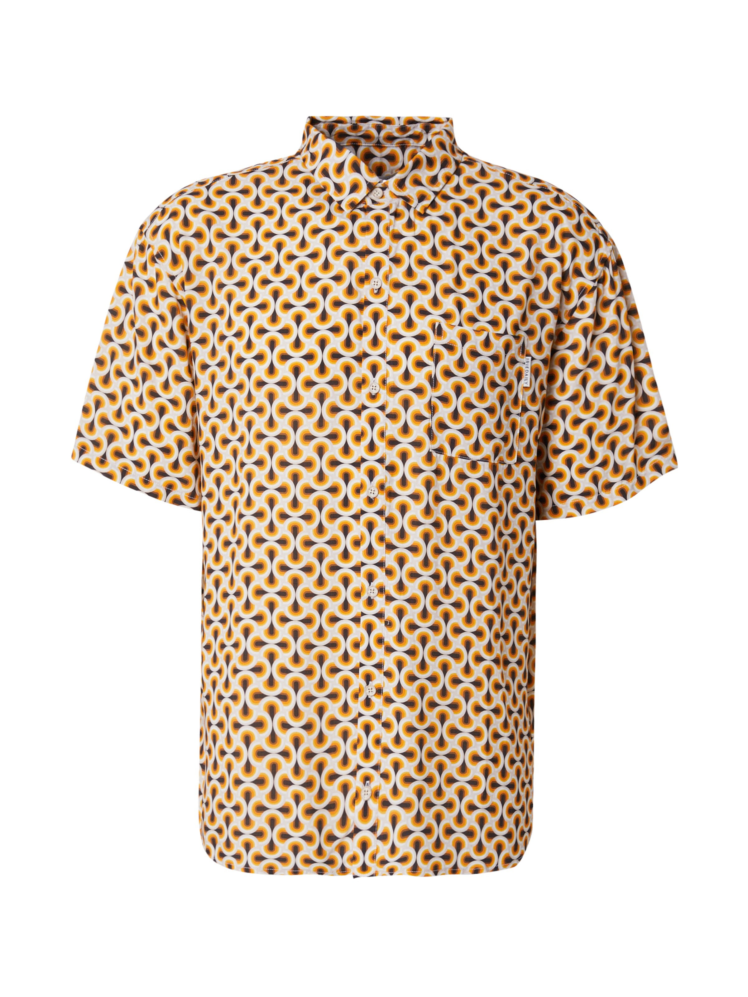 Iriedaily Regular fit Button Up Shirt 'Resort' in Brown: front