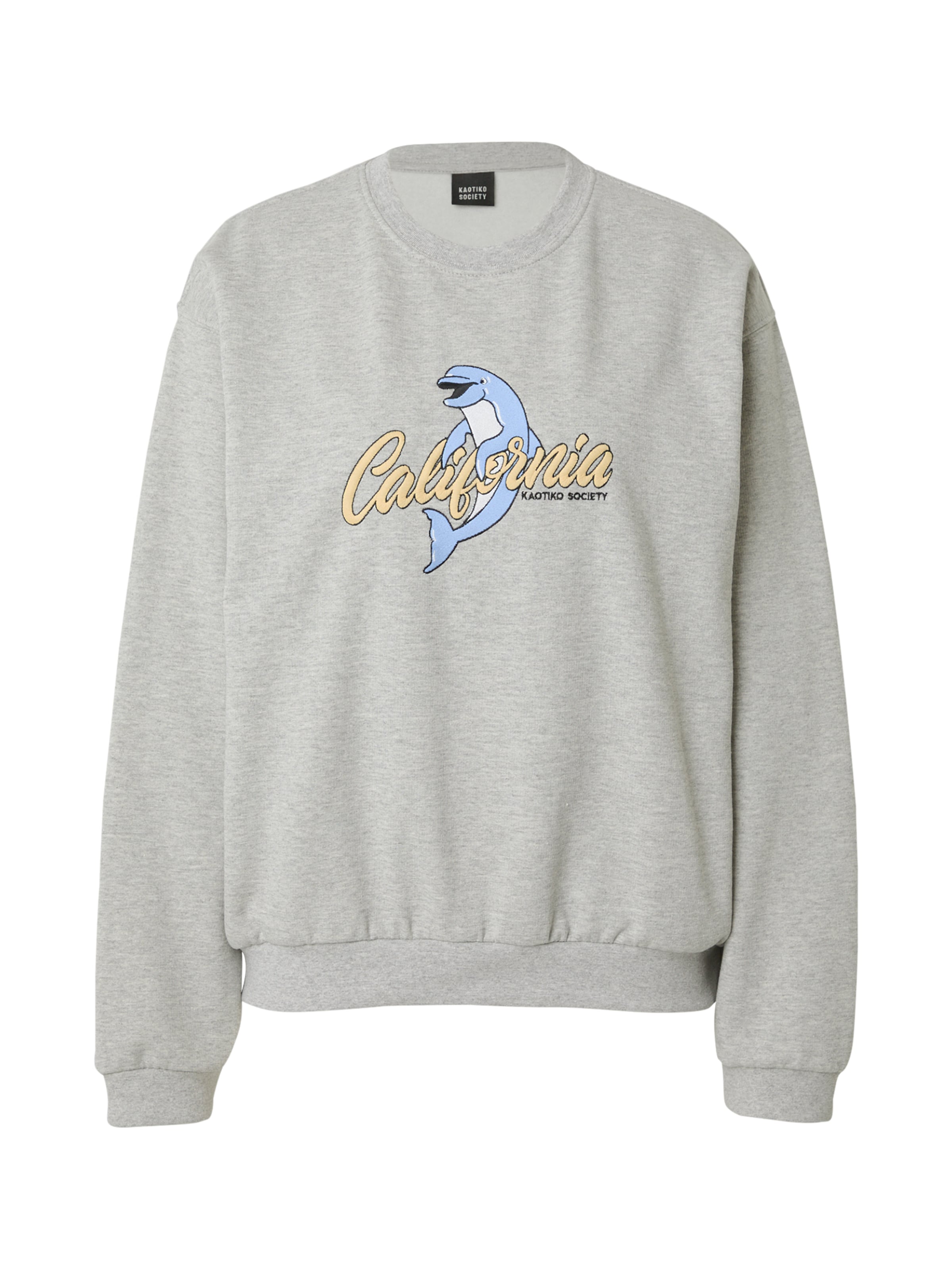 Kaotiko Μπλούζα φούτερ 'FLIPPER' σε γκρι: μπροστά