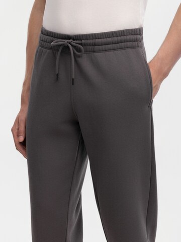 Antargoregular Hlače 'Mike' - siva boja