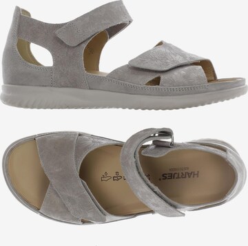 Hartjes Sandals & High-Heeled Sandals in 37 in Grey: front